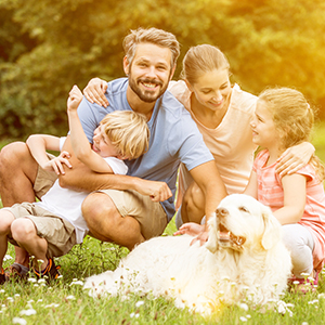 life_insurance auto-box 4